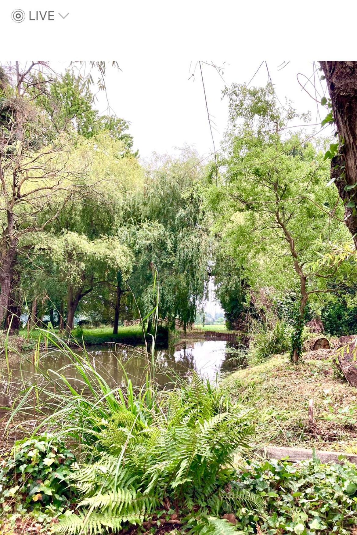 Chateau A Toulouse Fenouillet  外观 照片